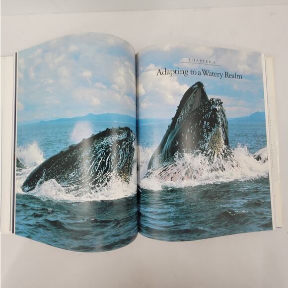 Jacques Cousteau Whales‎ by Jacques-yves Paccalet 1988 Hardcover Book Nature - Picture 9 of 10